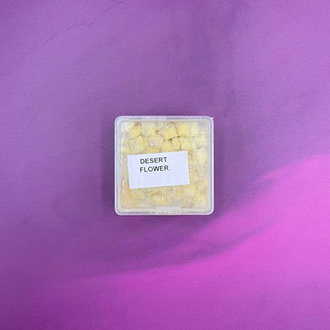 Incenso Premium Desert Flower in Box di Plastica Trasparente da 30 Grammi