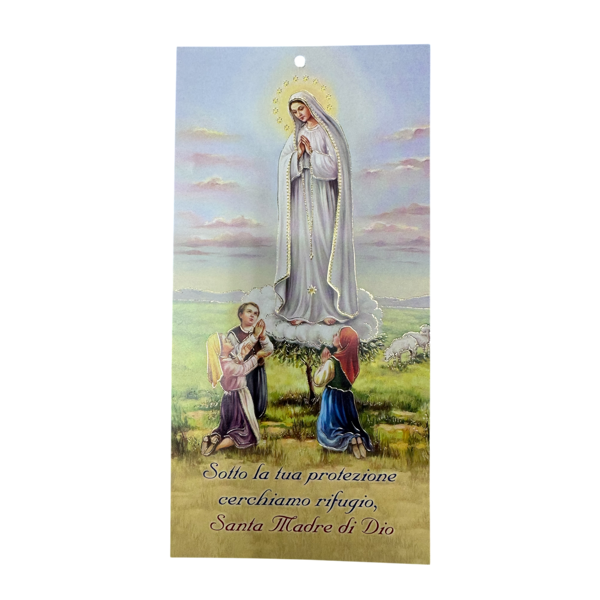Cartoncino benedizione case Madonna di Fatima