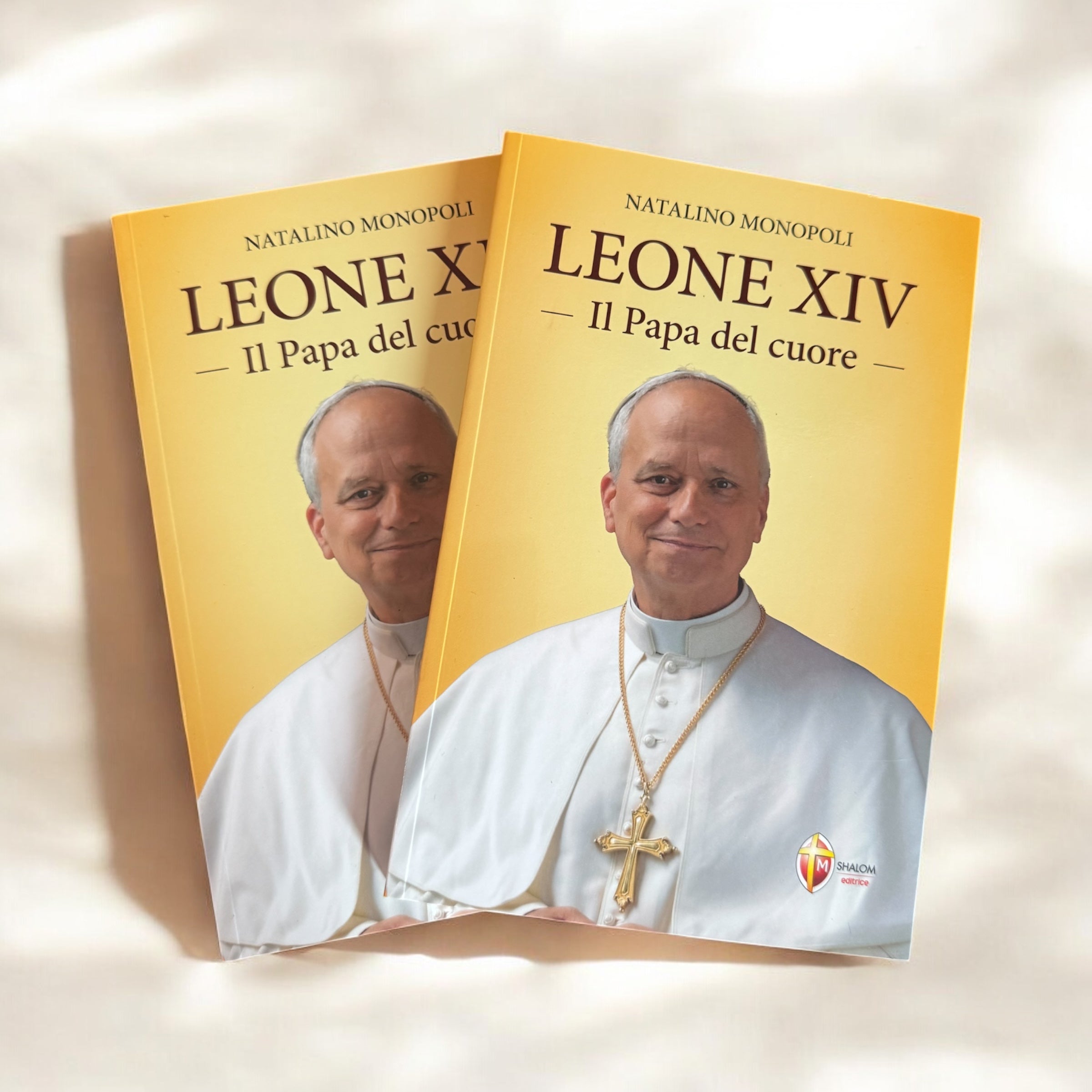 Leone XIV  Il Papa del cuore