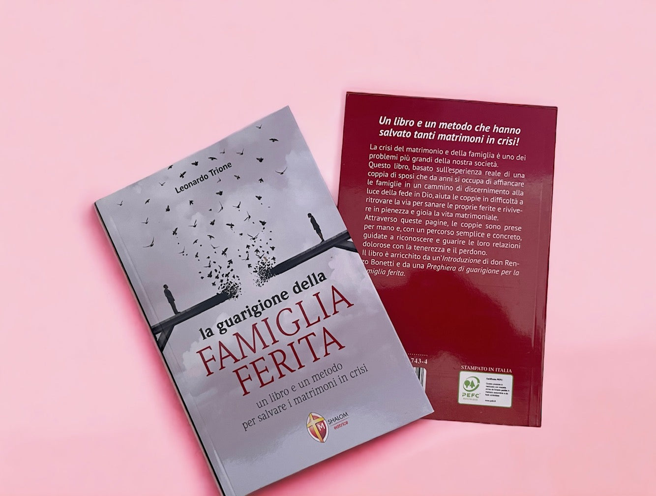 Libro "La guarigione della FAMIGLIA FERITA" Edizione Shalom